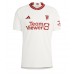 Manchester United Antony #21 Replica Third Stadium Shirt 2023-24 Short Sleeve